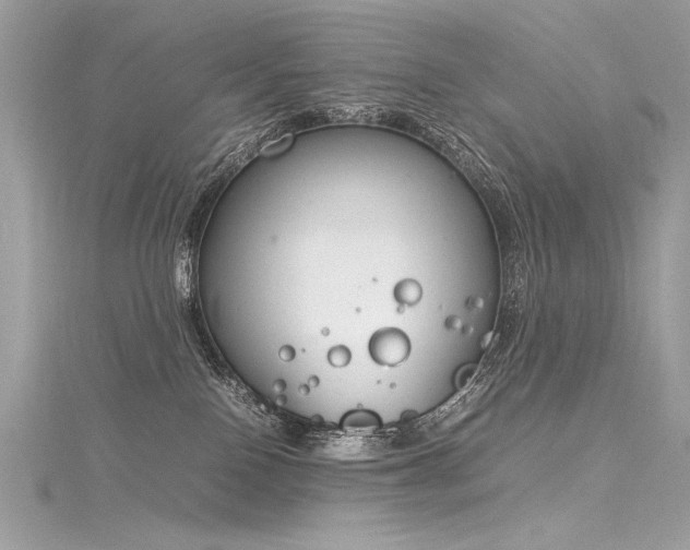 X0000116290090200911301428