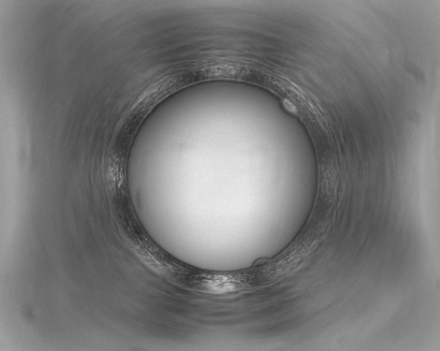 X0000116290091200911301428