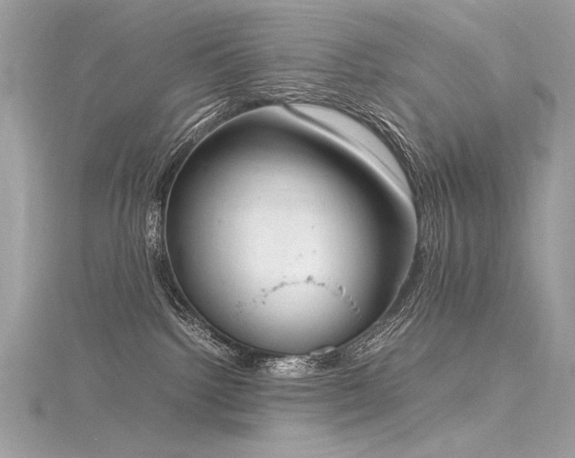 X0000116290092200911301428