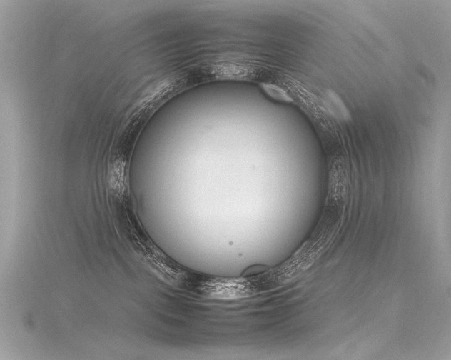 X0000116290093200911301428