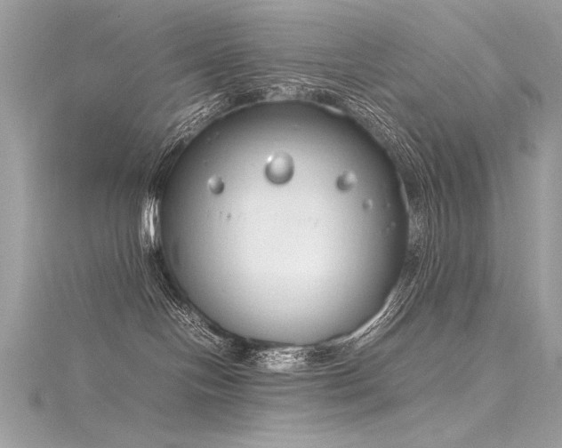 X0000116290094200911301428