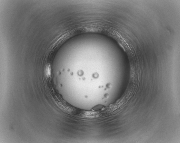 X0000116290095200911301428