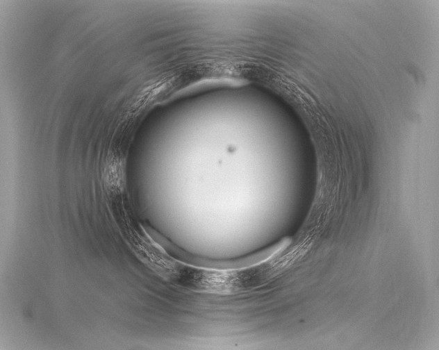 X0000116290096200911301428