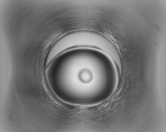 X0000116290097200911301427