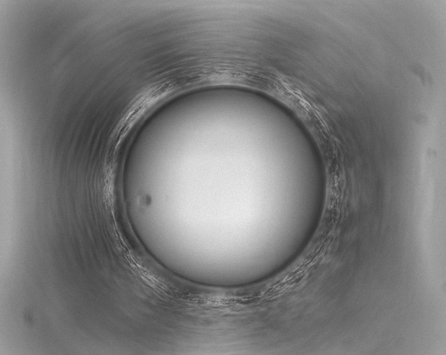 X0000116290098200911301427