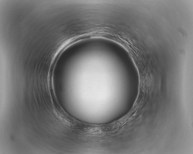 X0000116290100200911301427