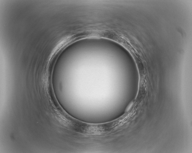 X0000116290101200911301427