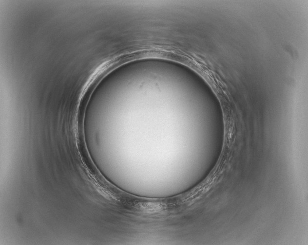 X0000116290102200911301427