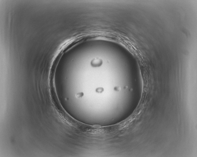 X0000116290104200911301427