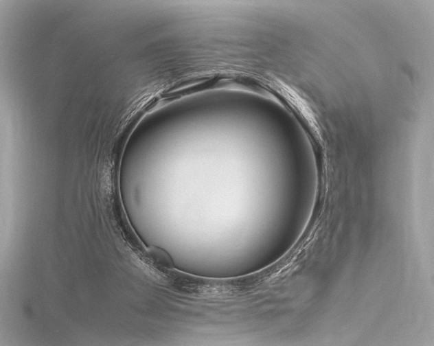 X0000116290105200911301427