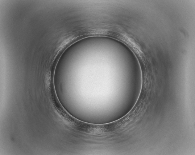 X0000116290107200911301427