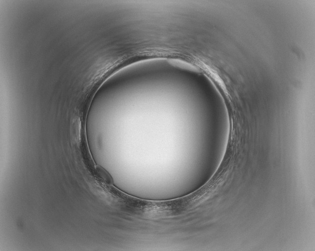 X0000116290109200911301427