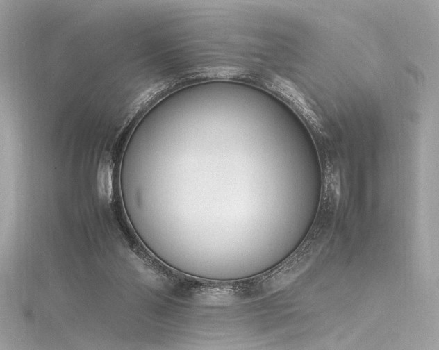 X0000116290110200911301427