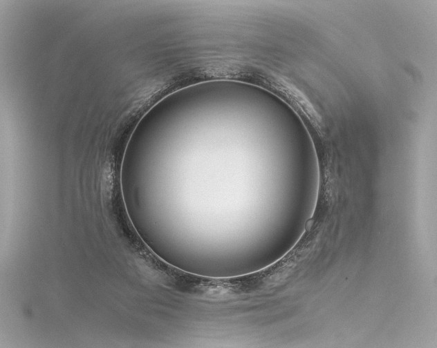 X0000116290113200911301427