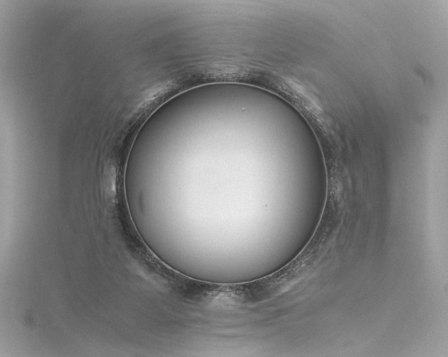 X0000116290115200911301427