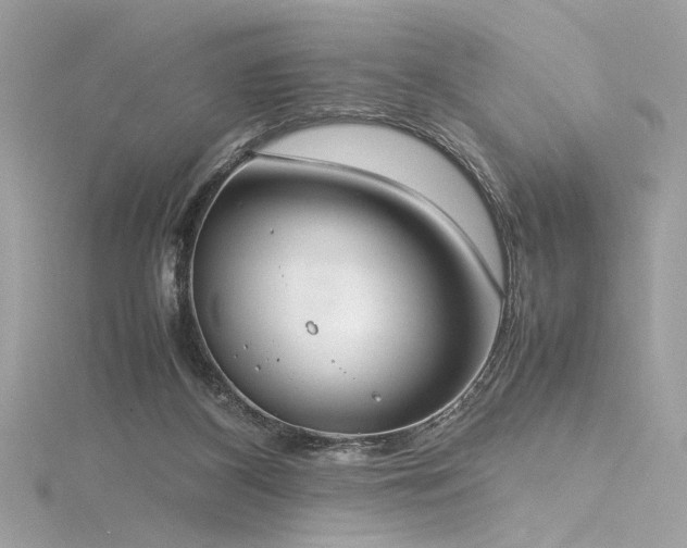 X0000116290116200911301427