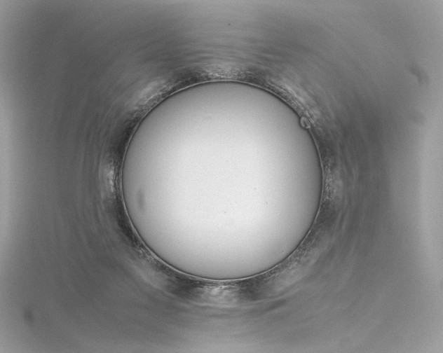 X0000116290117200911301427