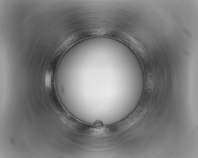 X0000116290118200911301427