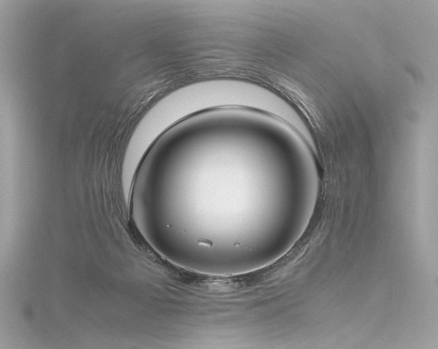 X0000116290121200911301427