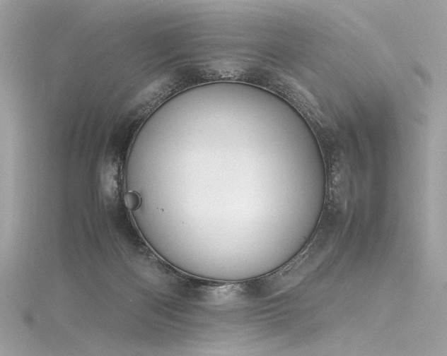 X0000116290122200911301427