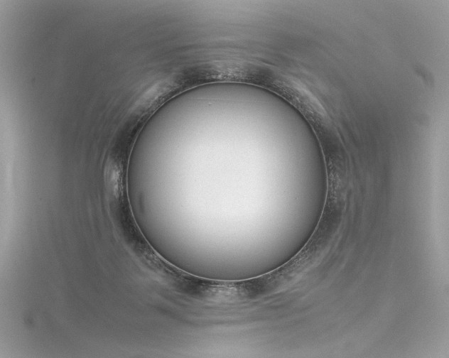 X0000116290123200911301427