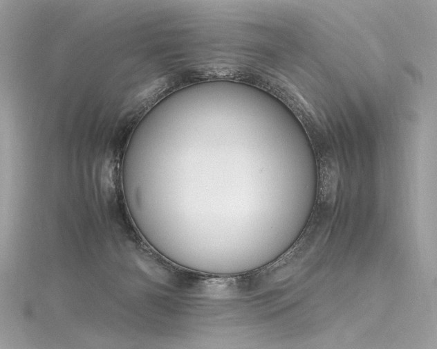 X0000116290126200911301427