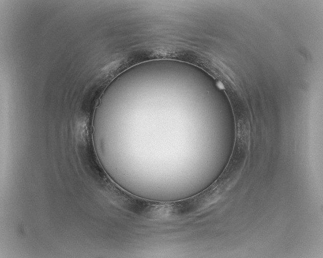 X0000116290127200911301427