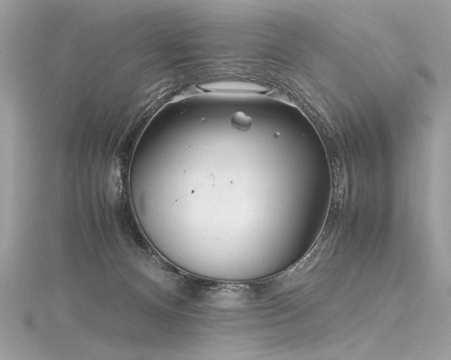 X0000116290128200911301427