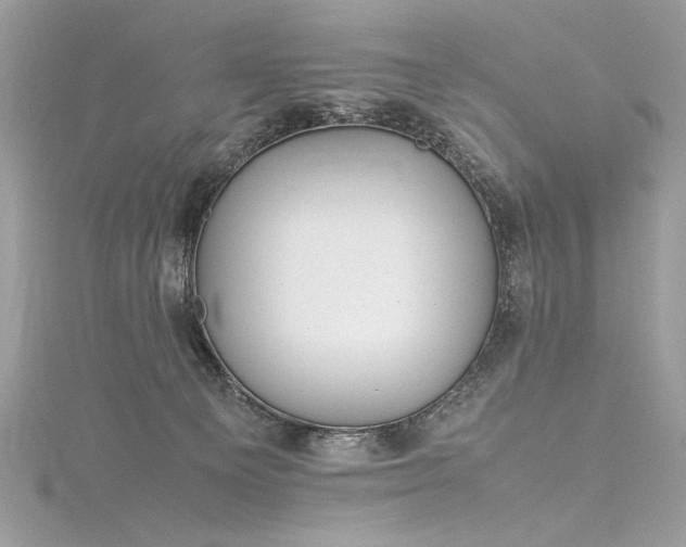 X0000116290129200911301427