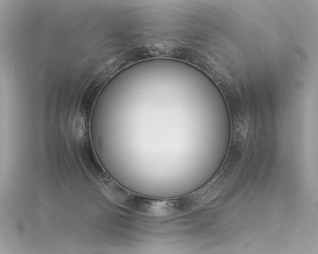 X0000116290130200911301427