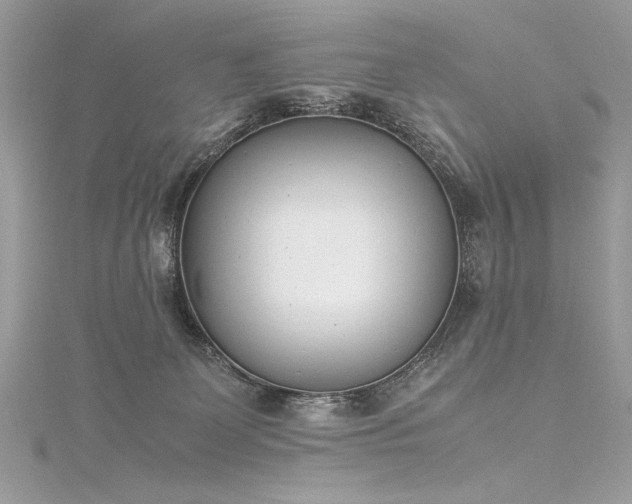 X0000116290131200911301427