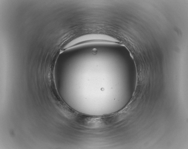 X0000116290132200911301427