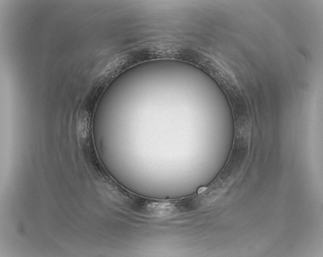 X0000116290133200911301427