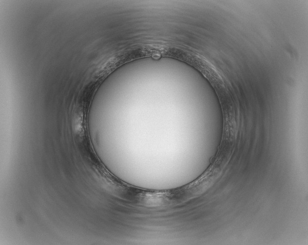 X0000116290134200911301427