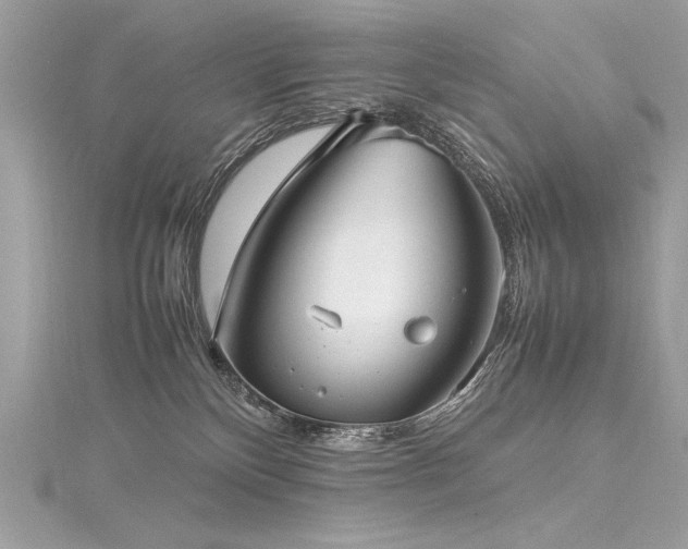 X0000116290136200911301427