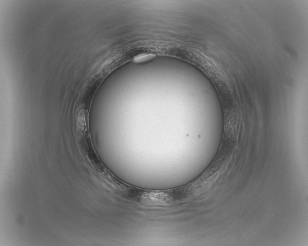 X0000116290137200911301427