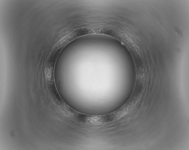 X0000116290139200911301427