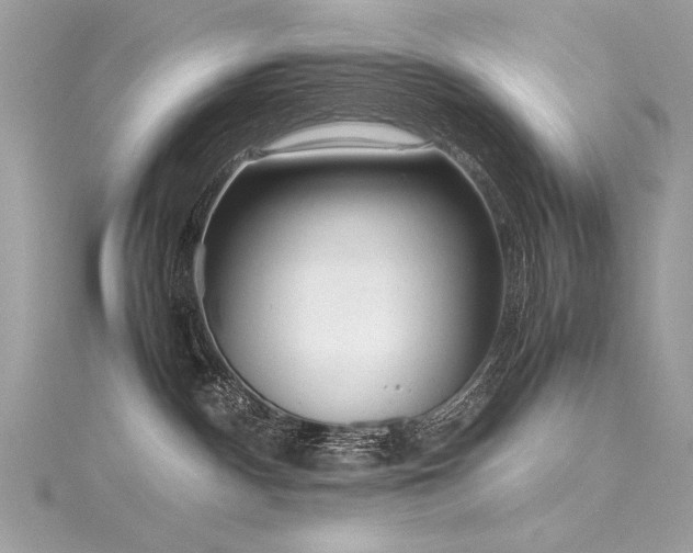 X0000116290140200911301427