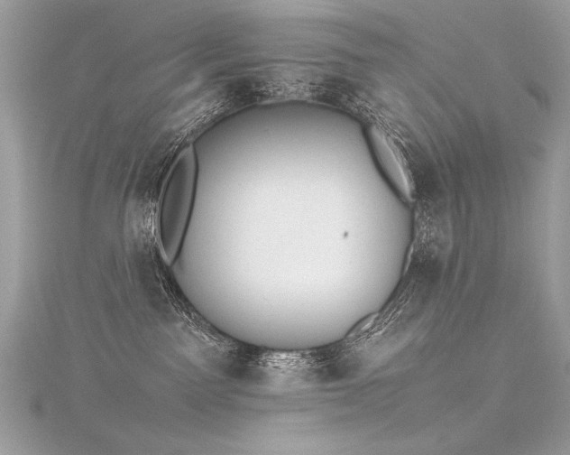 X0000116290141200911301427