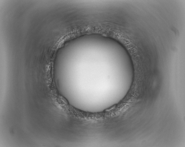 X0000116290144200911301426