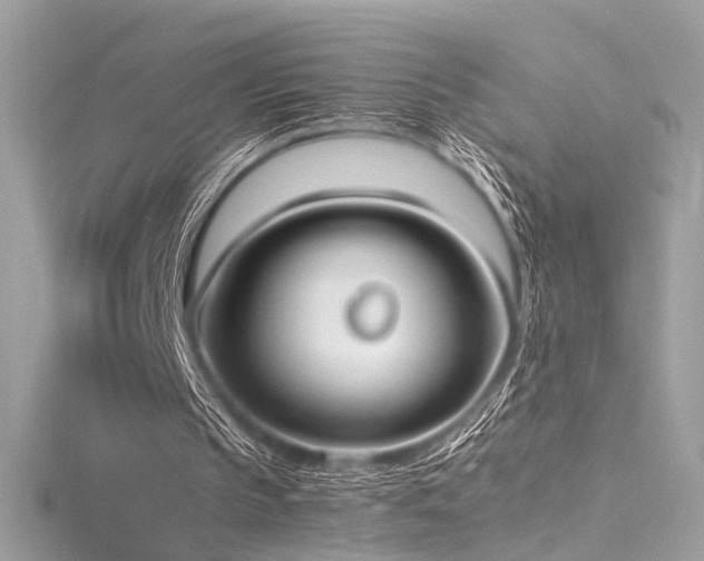 X0000116290145200911301426