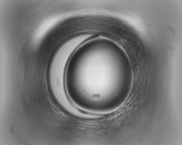 X0000116290146200911301426