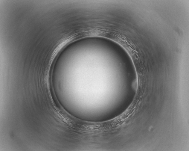 X0000116290147200911301426