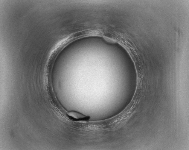 X0000116290149200911301426