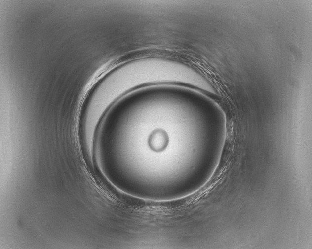 X0000116290150200911301426