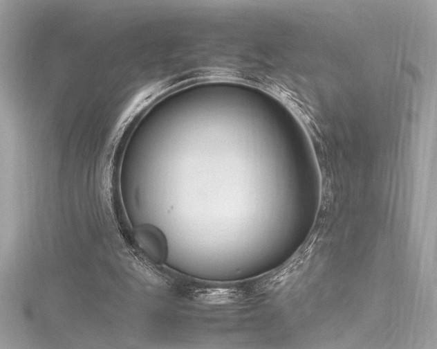 X0000116290151200911301426