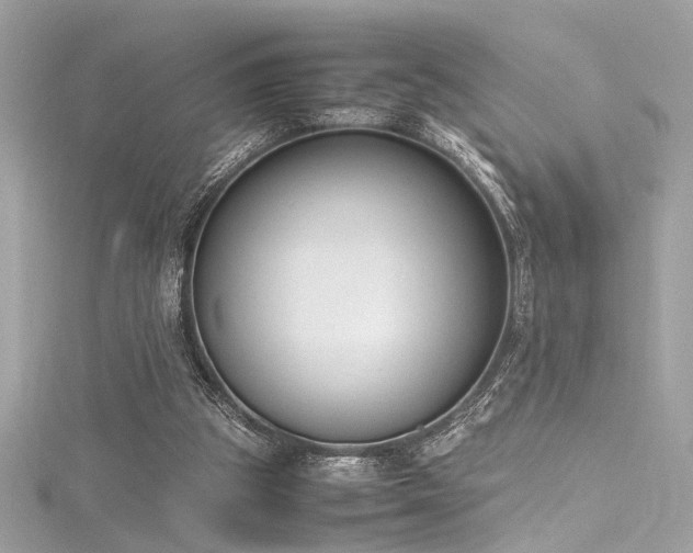 X0000116290153200911301426