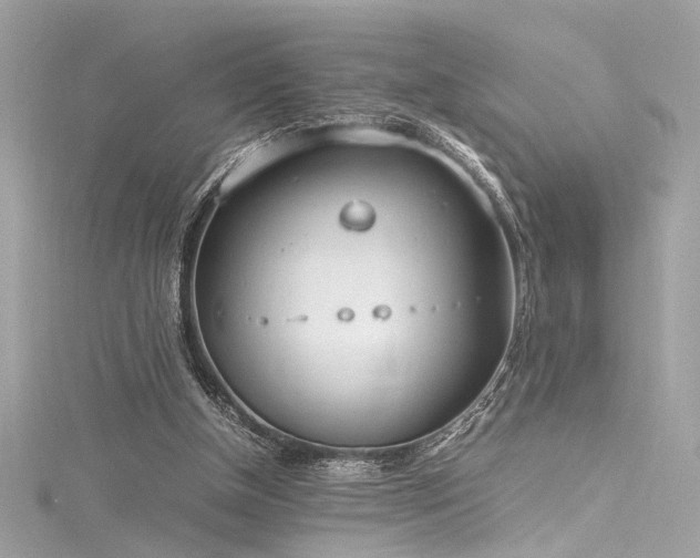 X0000116290154200911301426