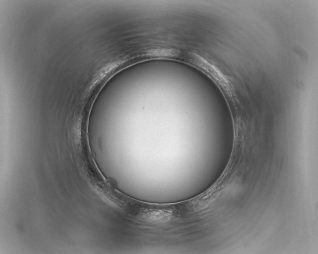 X0000116290155200911301426