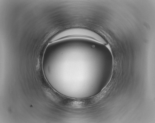 X0000116290158200911301426